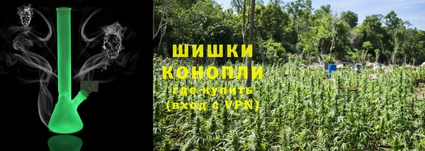 Альфа ПВП Белокуриха