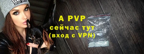 Альфа ПВП Белокуриха