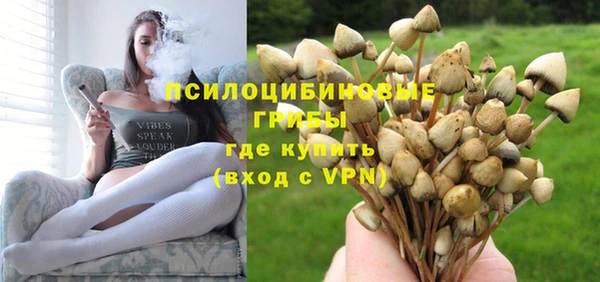 Альфа ПВП Белокуриха